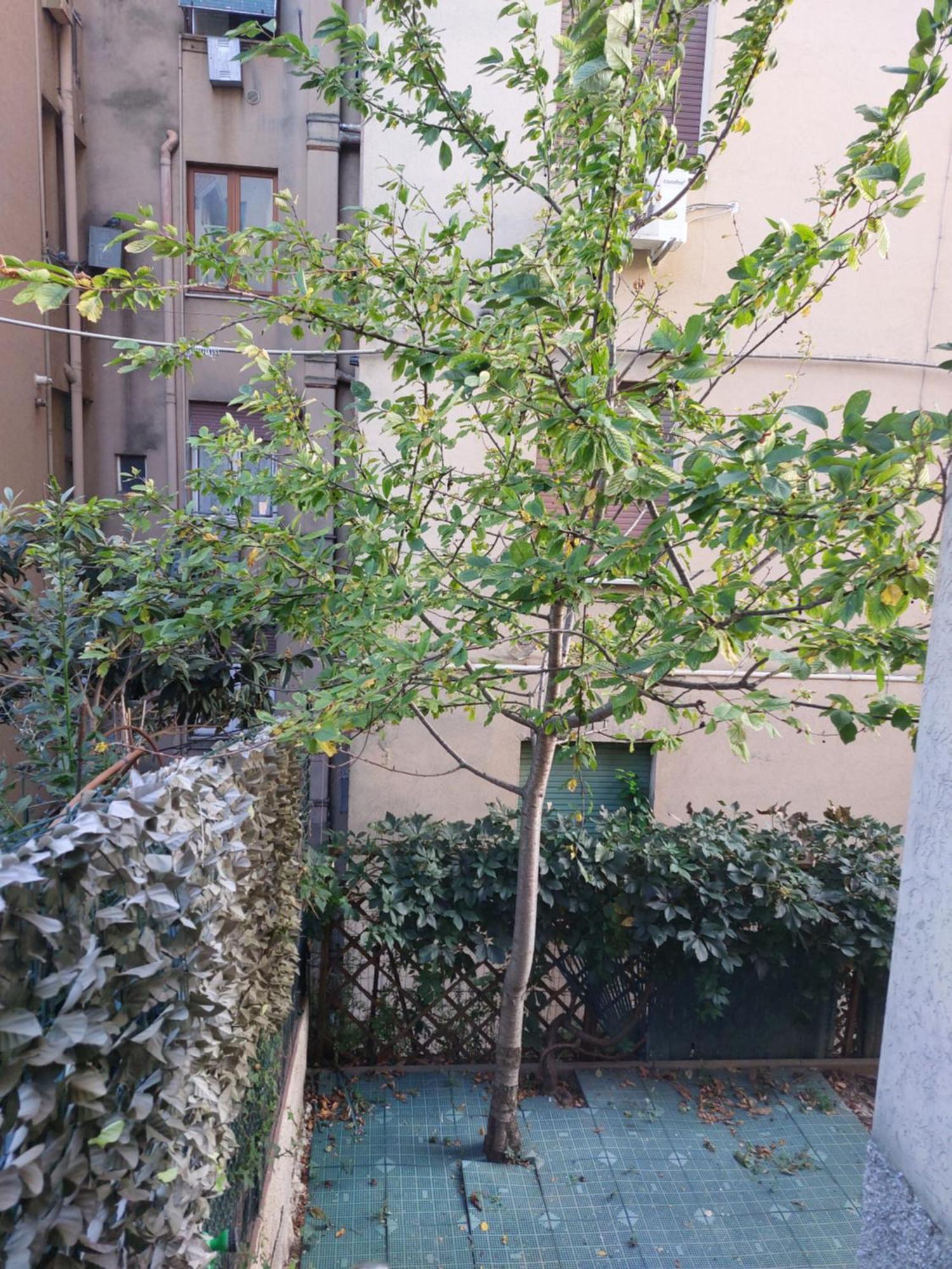Il Ciliegio - Casa Vacanza Macerata Exterior photo